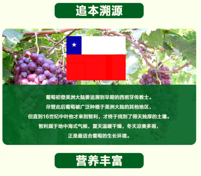 富乐妃牌葡萄干200g无籽提子 - 星美汇 - 购青春,惠生活
