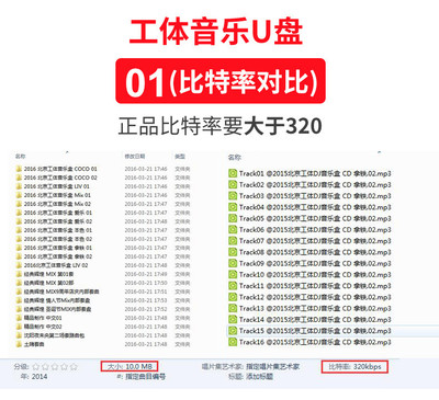 【兹惠智能专卖店】apphome车载音乐闪光U盘 内置北京工体电CD音质音乐京城夜店dj舞曲700首 F-3 闪光蓝色 -苏宁易购